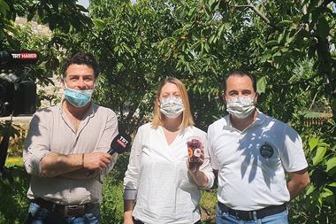 Coğrafi işaret tescilli Kemalpaşa Kirazı — TRT Haber